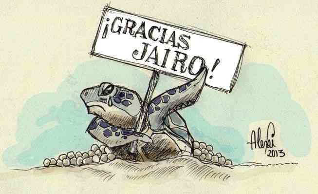 jairo_mora-tortugas-huevos-asesinato_elfima20130603_0039_12