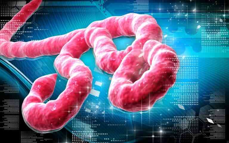 Πωλείται το ebola.com
