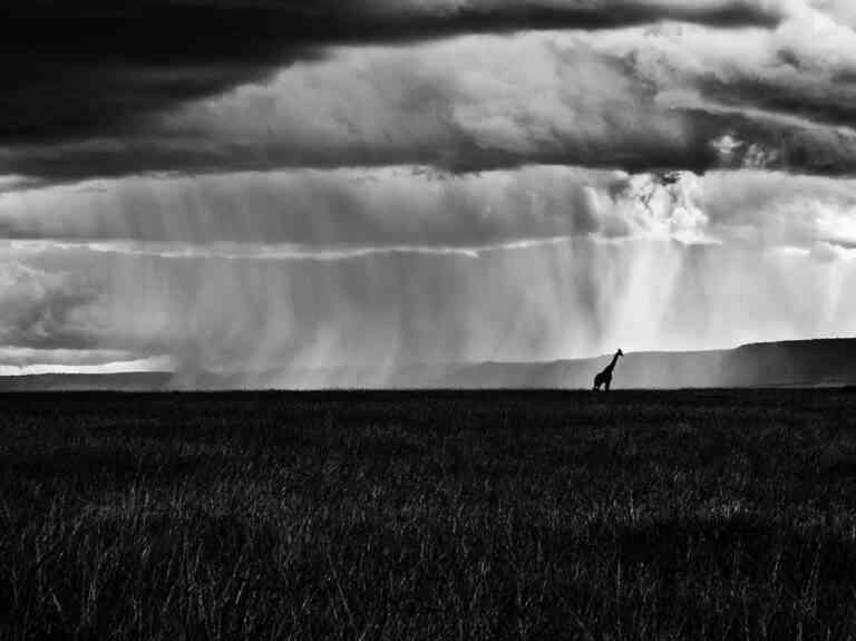 Rains in Africa