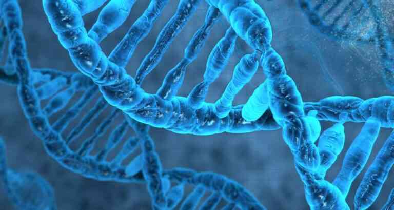 Θέλεις να αποθηκεύσεις το γονιδίωμα σου; Το Google Genomics είναι εδώ!
