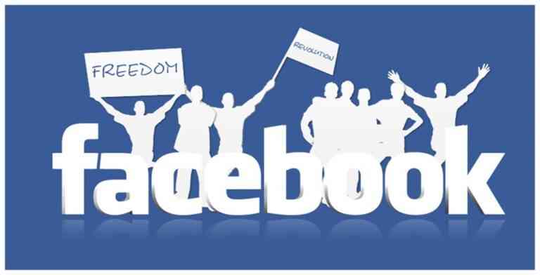 Viva la (facebook) revolution