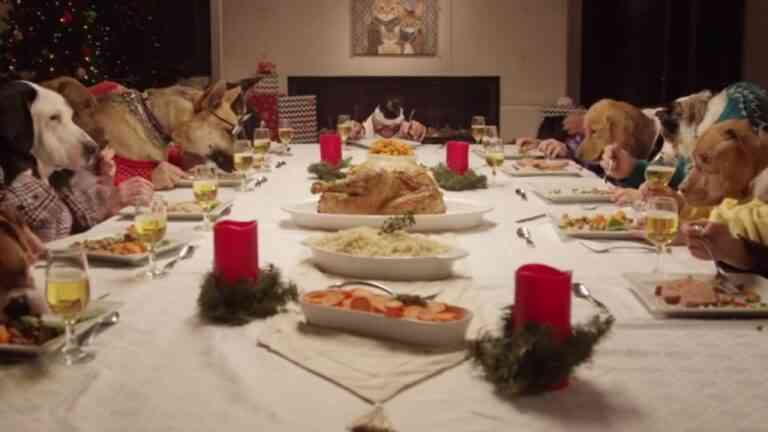 Μία γάτα προσκαλεί 13 σκύλους σε εορταστικό γεύμα! (vid)