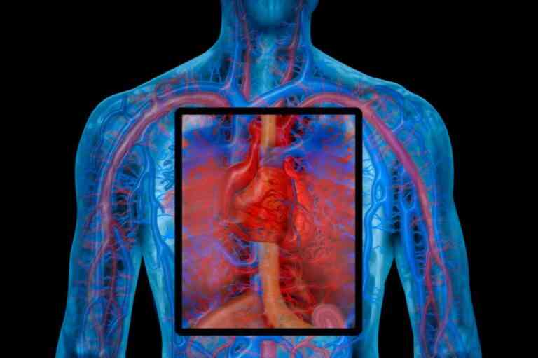 Μικρομηχανές για πρώτη φορά μέσα σε ζωντανό οργανισμό