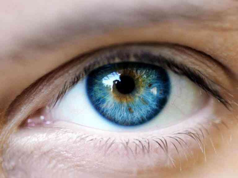 Γενετικό τεστ για την εκφύλιση της Ωχράς Κηλίδας