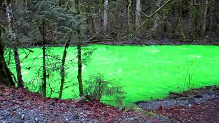 Το ποτάμι έγινε πράσινο και φωσφορίζει! (vid)