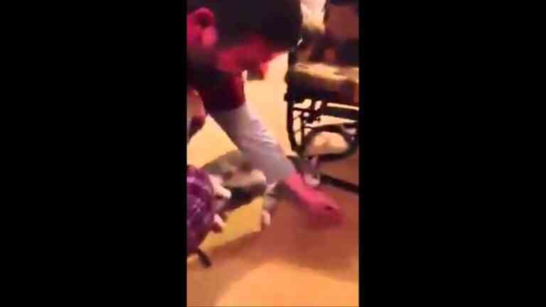 Γάτα το παίζει… ψόφια για να μην πάει βόλτα (video)