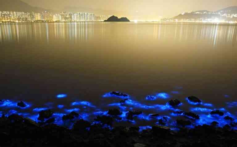 Ακτές του Χονγκ Κονγκ φωσφορίζουν τη νύχτα!