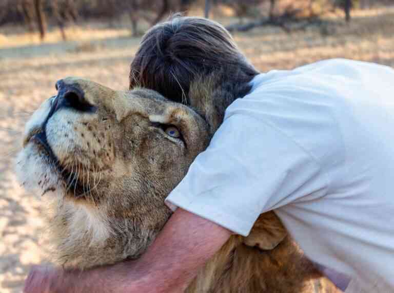 Αυτή η φιλία ανθρώπου – λιονταριού κρατά 11 χρόνια