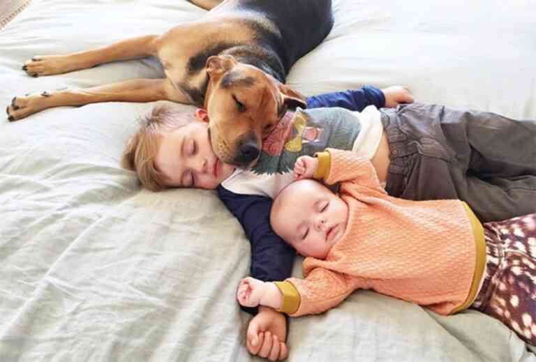 Σκύλος, ο καλύτερος φίλος του ανθρώπου