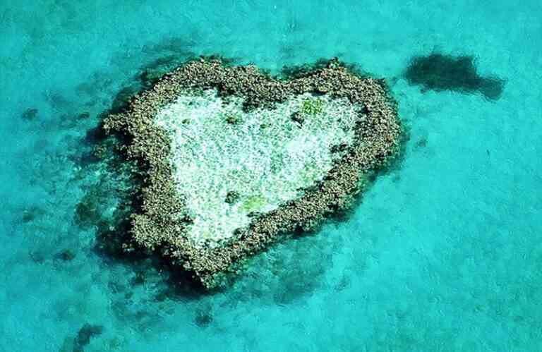 Εντυπωσιακά σχήματα καρδιάς στη φύση