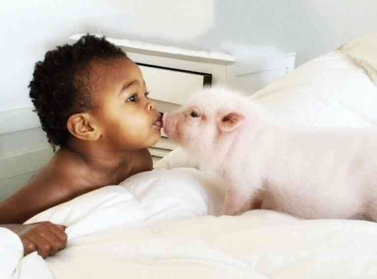 Αυτό το 2χρονο κοριτσάκι κάνει κολλητή παρέα με ένα.. γουρούνι!