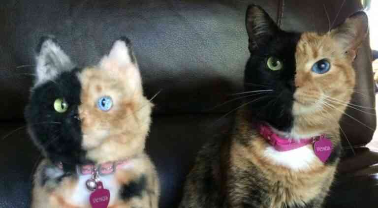 Εταιρεία φτιάχνει λούτρινα ζωάκια ίδια με τα αληθινά!