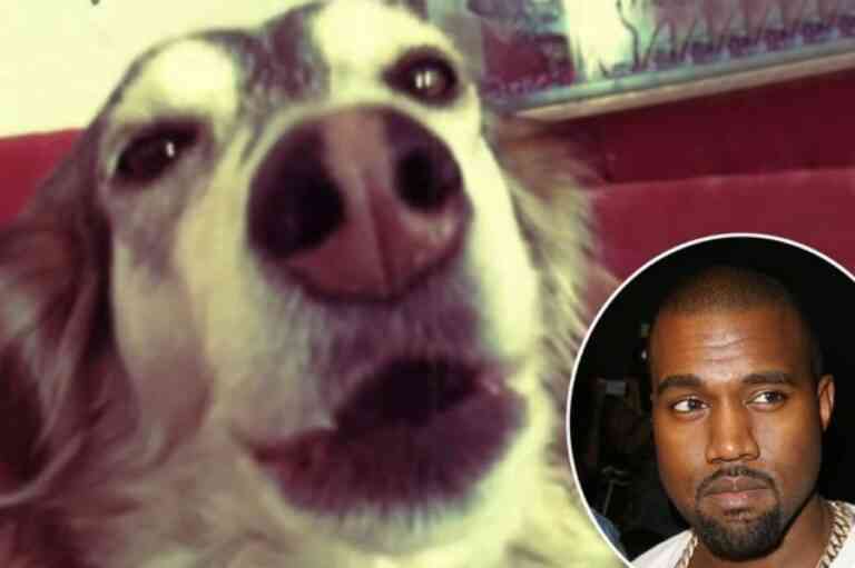 Ο σκύλος που ακούγεται σαν τον Kanye West