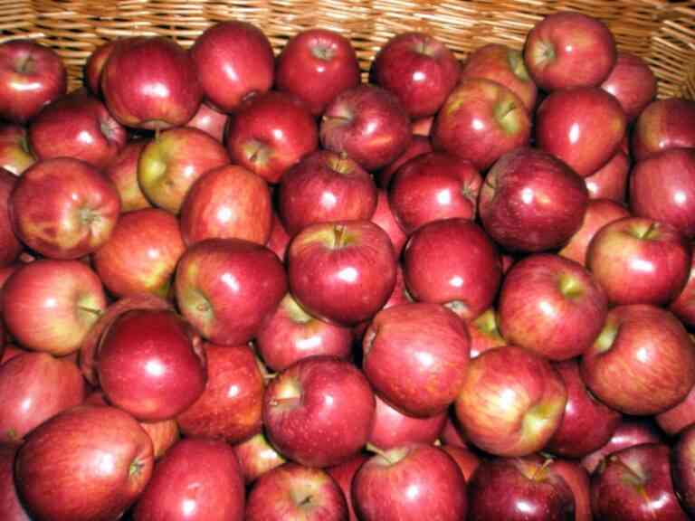 Τα 10 πιο τοξικά φρούτα και λαχανικά στο τραπέζι μας