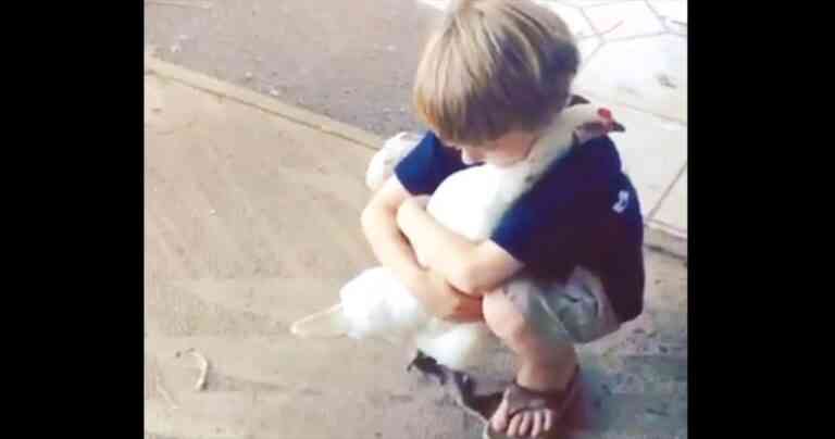 Η τρυφερή αγκαλιά ενός αγοριού σε μία κότα (video)
