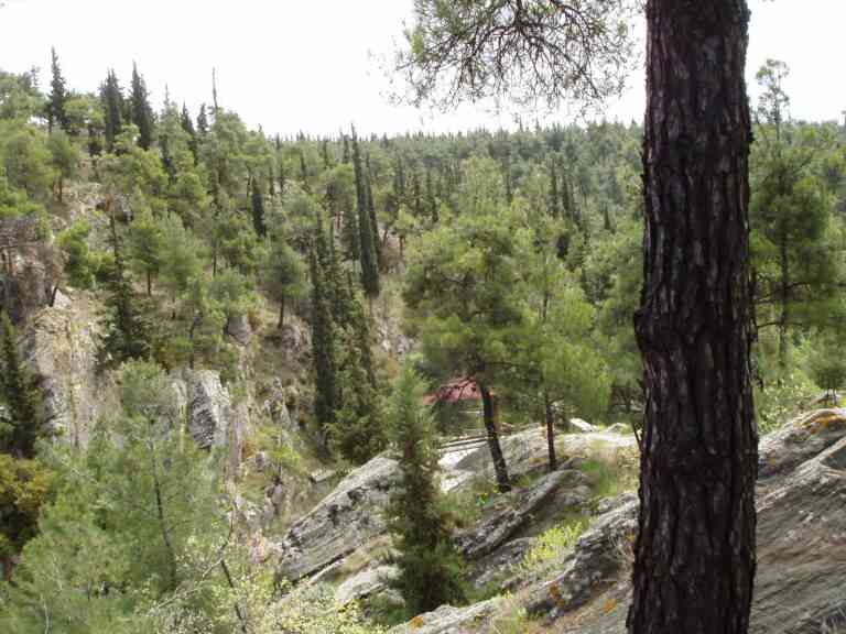 Το Σέιχ Σου καθαρίζει για να υποδεχτεί το καλοκαίρι