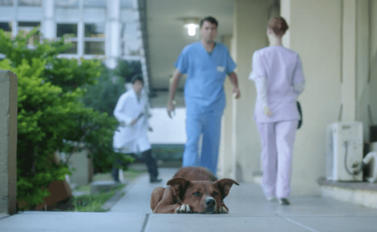 Μία συγκινητική αργεντίνικη καμπάνια για την δωρεά οργάνων (video)