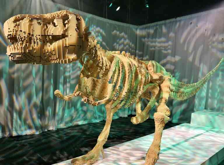 Πόσο καλά φτιάχνεις αντικείμενα με Lego;