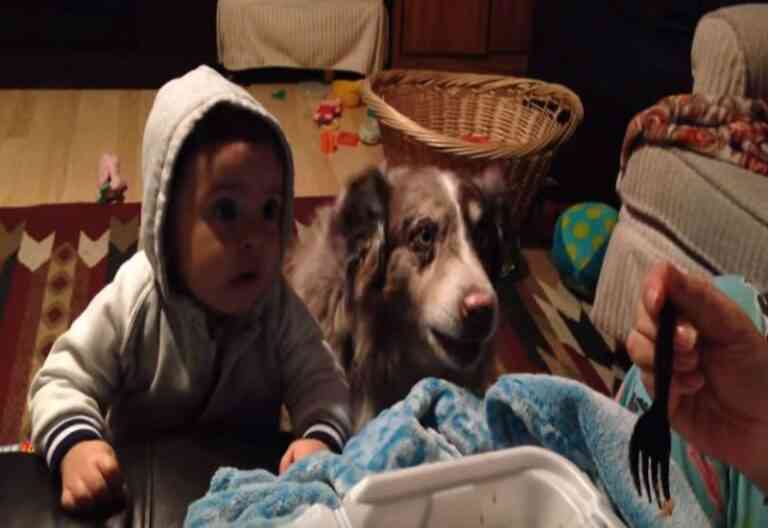 Ξεκαρδιστικό βίντεο: O σκύλος λέει δυνατά τη λέξη «μαμά»