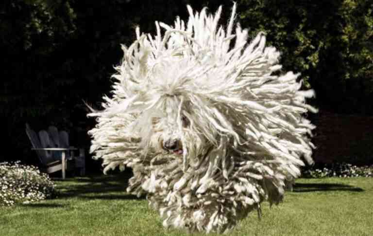 Η «ιπτάμενη σφουγγαρίστρα» – Η φωτογραφία που ανέβασε στο προφίλ του o Mark Zuckerberg σαρώνει στα Likes!