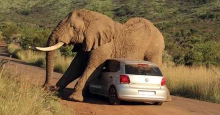 Είχες μια άτυχη μέρα είπες;… Ξανασκέψου το!!!