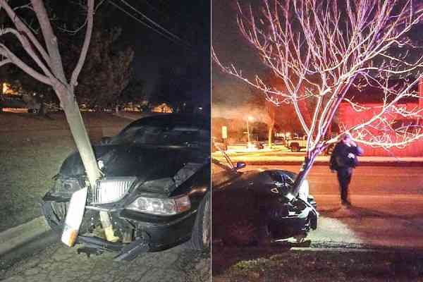 Γυναίκα οδηγούσε με καρφωμένο δέντρο! (+video)