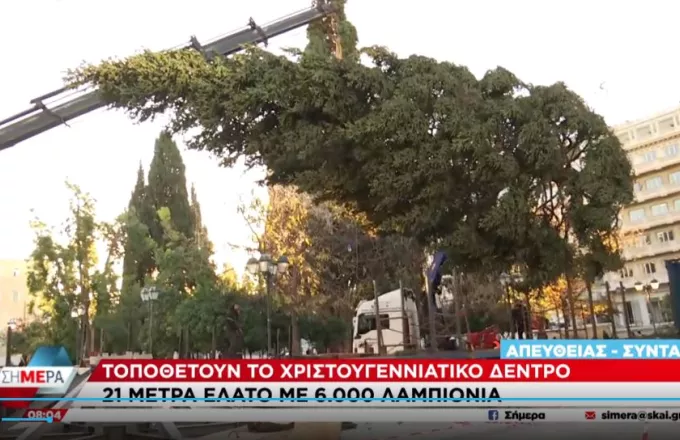 «Στήθηκε» το Χριστουγεννιάτικο δέντρο στο Σύνταγμα