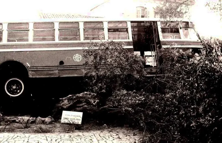 Η ιστορία πίσω από το… τροχαίο με την «Ελιά του Πλάτωνα»