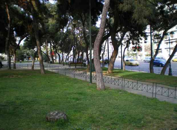 Το «άγνωστο» Άλσος της μιας Νυκτός στην καρδιά της Αθήνας