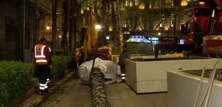Απομακρύνονται οι φοίνικες από την Πανεπιστημίου (Video)