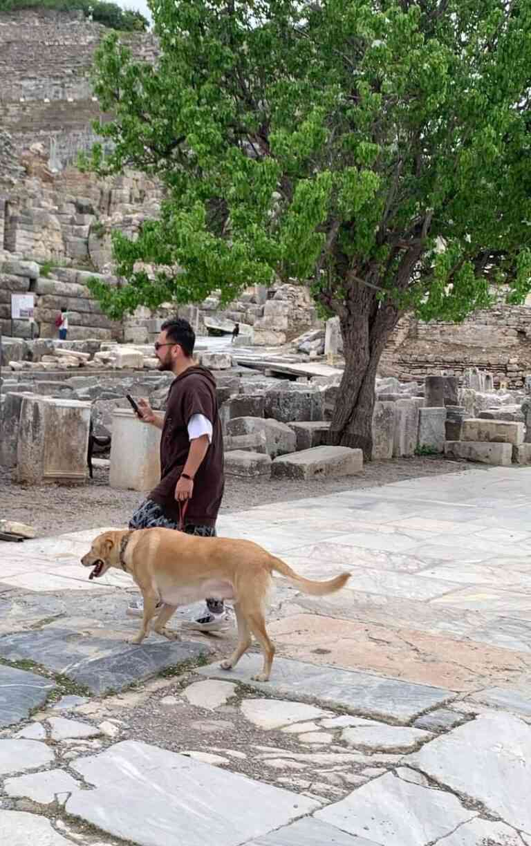 «Ελεύθερη» είσοδος για τα ζώα συντροφιάς σε περισσότερους από 120 αρχαιολογικούς χώρους