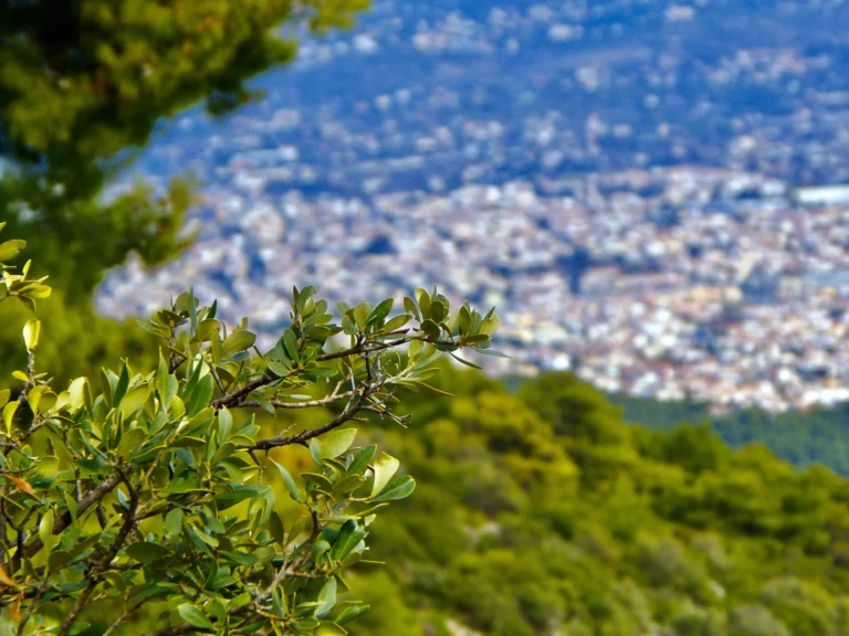Η απάντηση της Περιφέρειας Αττικής στις αντιδράσεις για το προληπτικό κλείσιμο των πάρκων