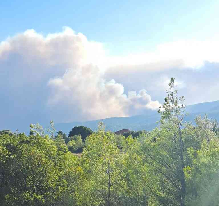 Νεότερη πυρομετεωρολογική ενημέρωση για τη δασική πυρκαγιά στην Πάρνηθα (Meteo)