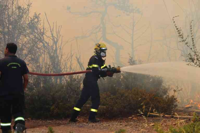Δήμος Ηλιούπολης: Συγκέντρωση βοήθειας για Πάρνηθα και Μενίδι