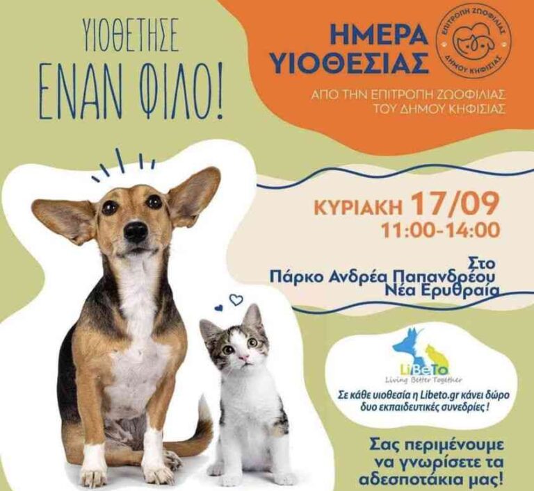 Υιοθετήστε έναν φίλο!