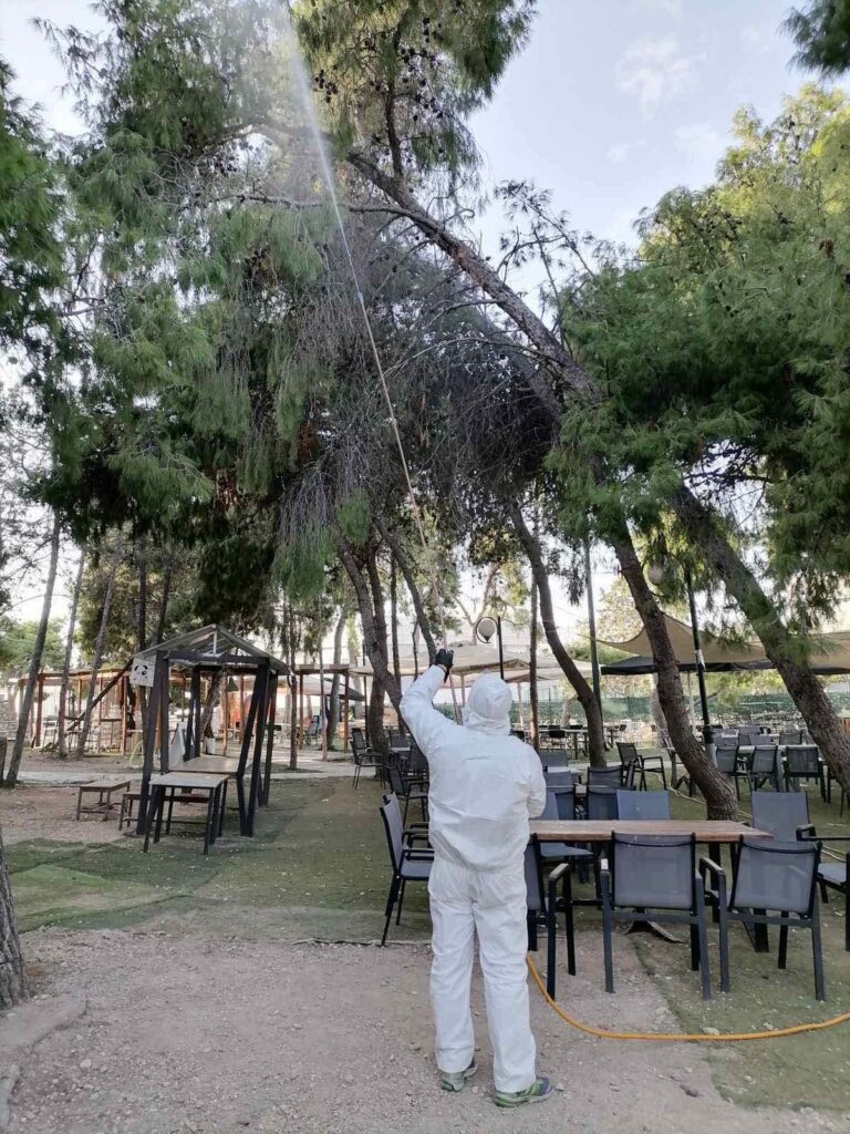 Ψεκάζουν για την κάμπια των πεύκων στον Δήμο Ελληνικού Αργυρούπολης
