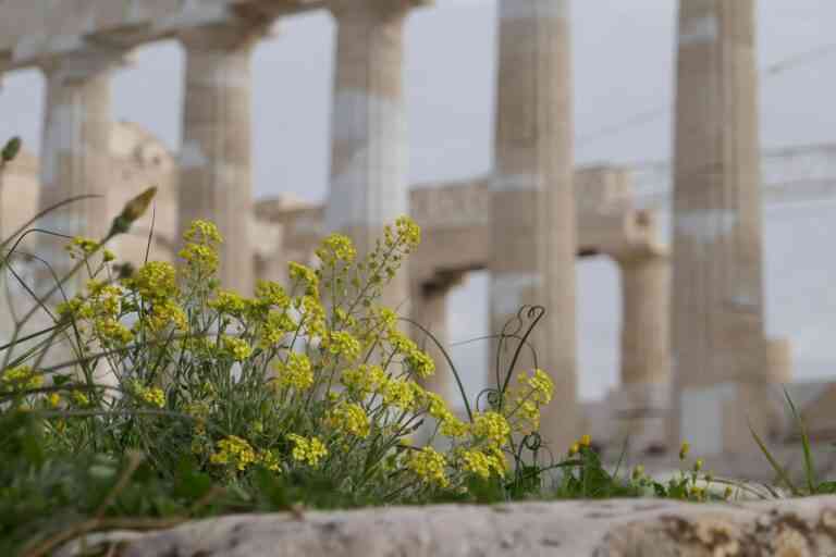 Αθήνα η πιο «μυρωδάτη» πόλη στον κόσμο!