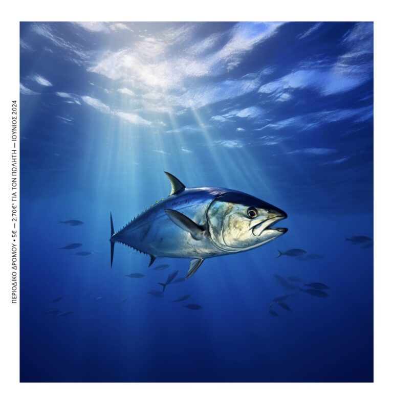 Η «Σχεδία» της πόλης και των υδατοκαλλιεργειών