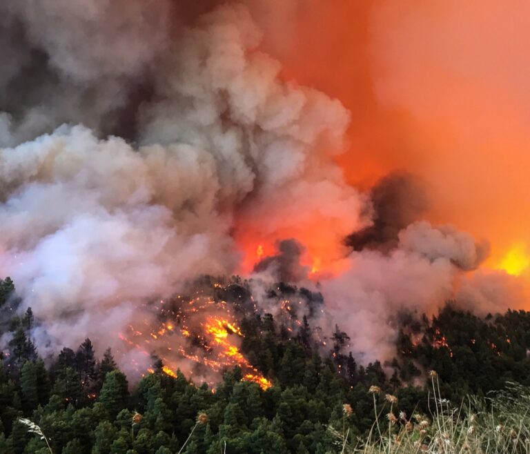 Σε κατάσταση «κόκκινου» συναγερμού την Παρασκευή η Αττική | Ακραίος κίνδυνος εκδήλωσης πυρκαγιάς