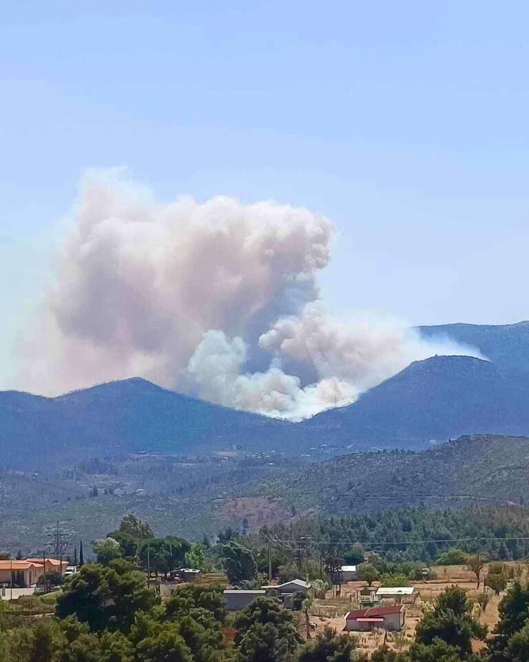 Χωρίς ενεργό μέτωπο η φωτιά στην Πάρνηθα | Ισχυρές δυνάμεις όλο το βράδυ στην περιοχή