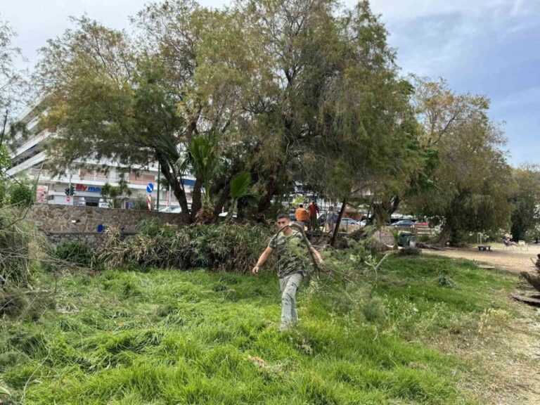 Συνεχίζονται οι καθαρισμοί κοινόχρηστων χώρων, δασικών περιοχών και παραλιών στο Δήμο Σαρωνικού
