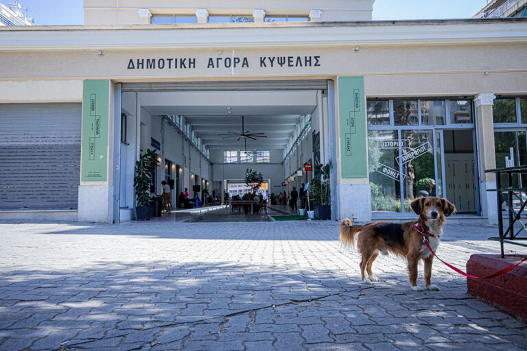 Ιούλιος στη Δημοτική Αγορά Κυψέλης
